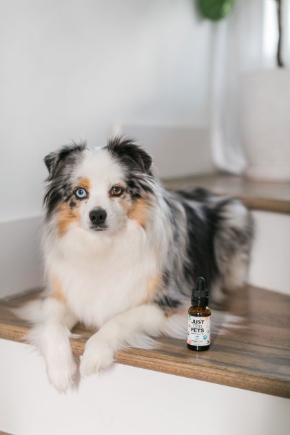 CAN A CBD VAPE CARTRIDGE REALLY HELP ME DEAL WITH STRESS AND ANXIETY?