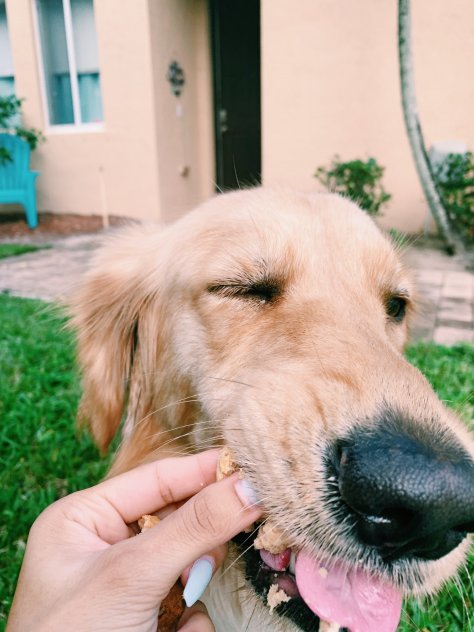 CAN CBD PRODUCTS HELP WITH ANXIETY?