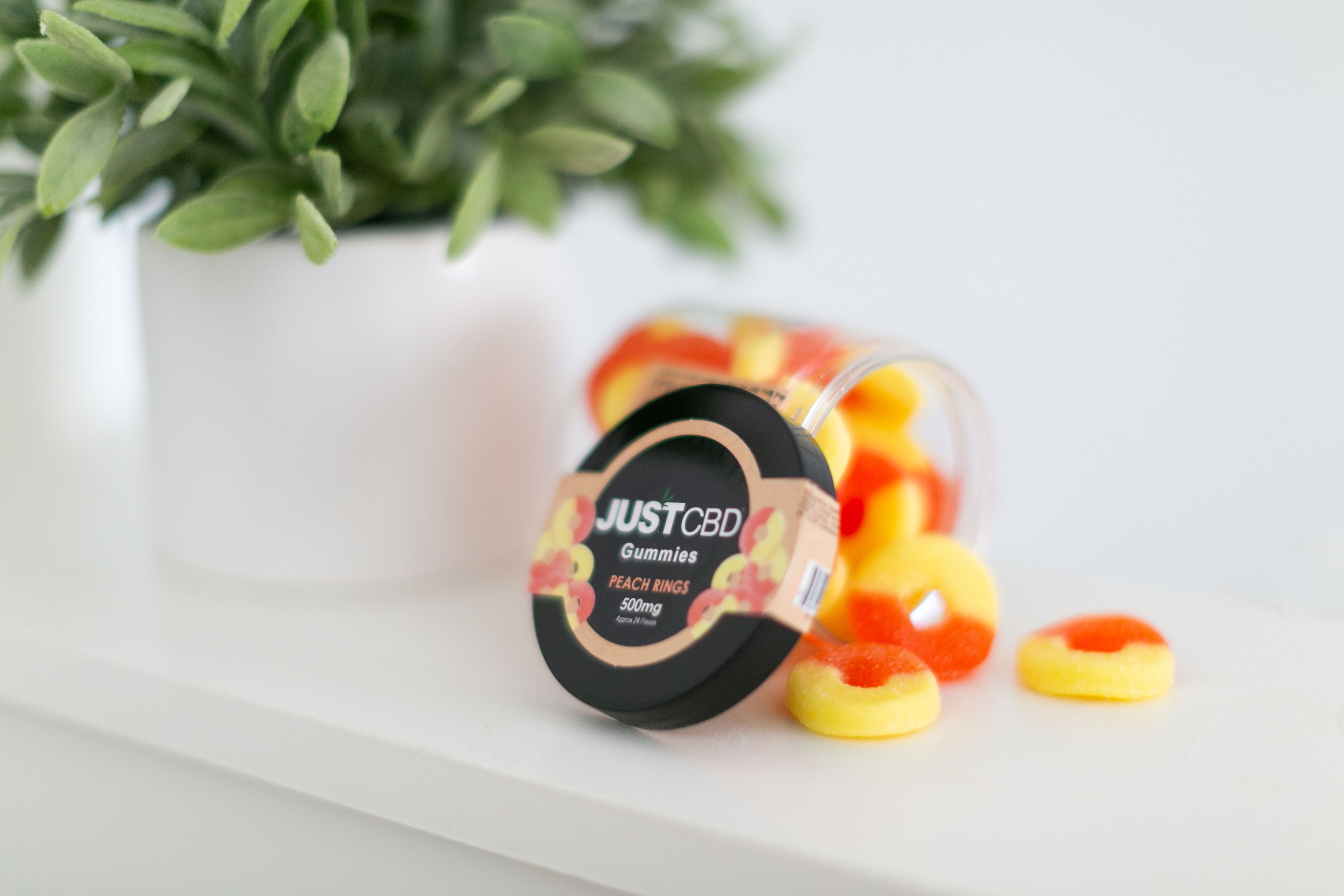 CBD Oil and Hemp Wholesaler