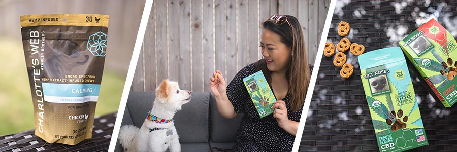 Charlotte’s Web CBD for Dogs