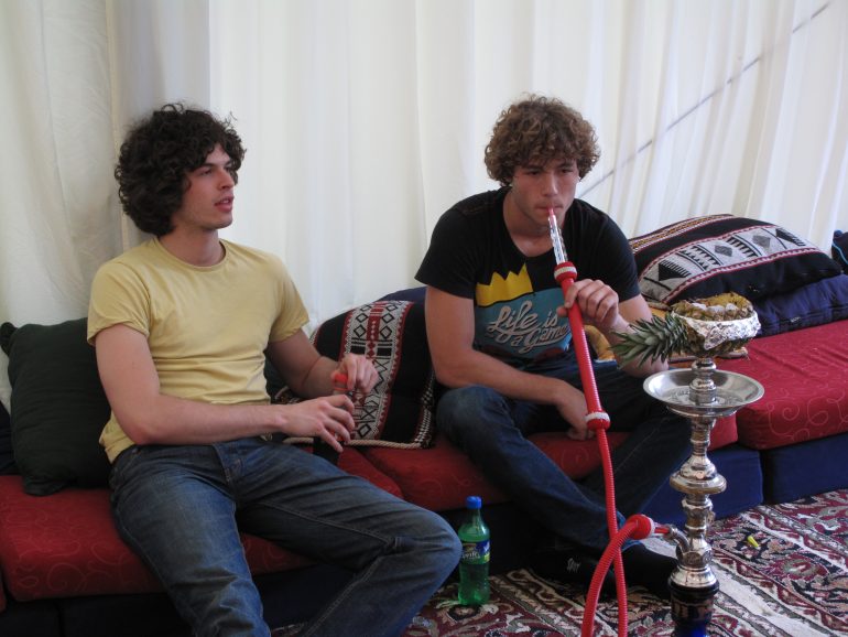 Green Roads CBD Oil for Pets